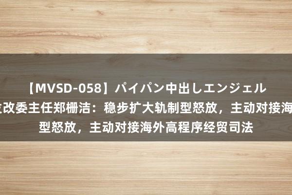 【MVSD-058】パイパン中出しエンジェル 雪乃しずく 国度发改委主任郑栅洁：稳步扩大轨制型怒放，主动对接海外高程序经贸司法