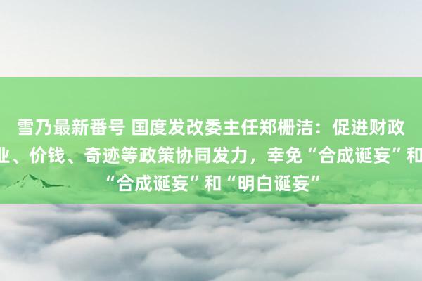 雪乃最新番号 国度发改委主任郑栅洁：促进财政、货币、产业、价钱、奇迹等政策协同发力，幸免“合成诞妄”和“明白诞妄”