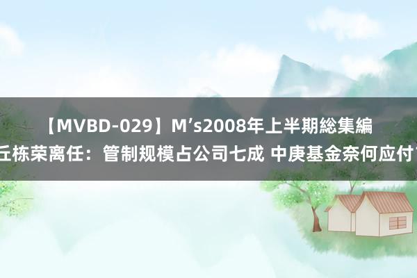 【MVBD-029】M’s2008年上半期総集編 丘栋荣离任：管制规模占公司七成 中庚基金奈何应付？