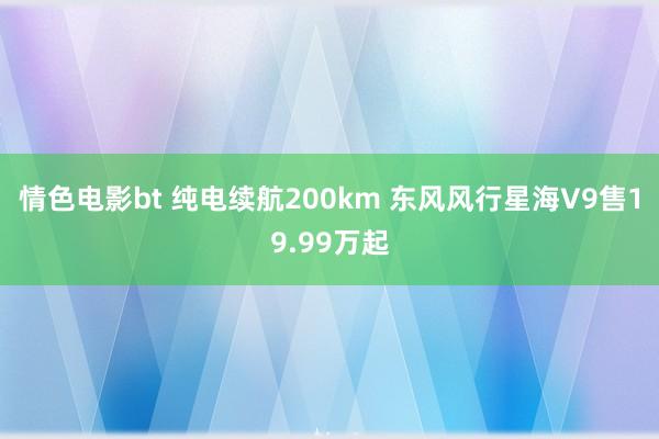 情色电影bt 纯电续航200km 东风风行星海V9售19.99万起