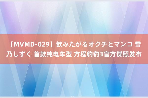 【MVMD-029】飲みたがるオクチとマンコ 雪乃しずく 首款纯电车型 方程豹豹3官方谍照发布