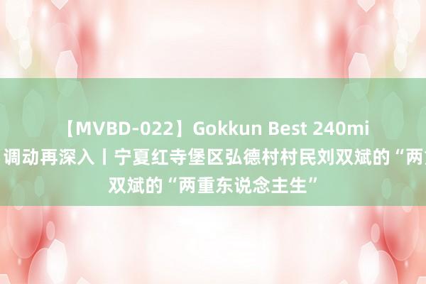 【MVBD-022】Gokkun Best 240min. 锚定当代化 调动再深入丨宁夏红寺堡区弘德村村民刘双斌的“两重东说念主生”