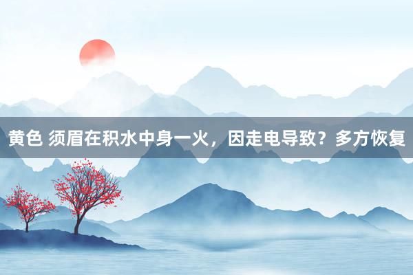 黄色 须眉在积水中身一火，因走电导致？多方恢复