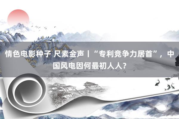 情色电影种子 尺素金声丨“专利竞争力居首”，中国风电因何最初人人？