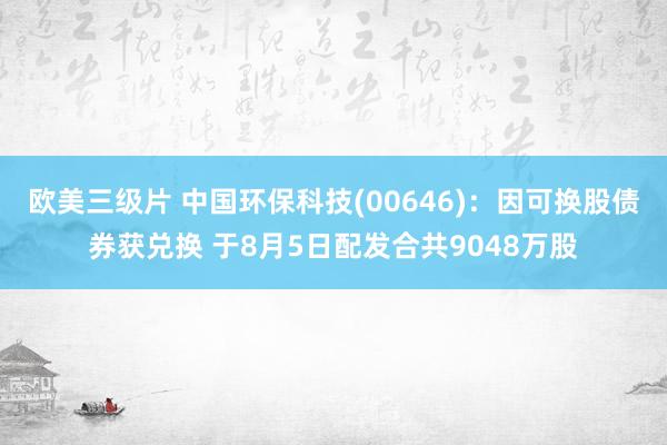 欧美三级片 中国环保科技(00646)：因可换股债券获兑换 于8月5日配发合共9048万股