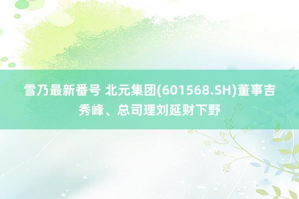 雪乃最新番号 北元集团(601568.SH)董事吉秀峰、总司理刘延财下野