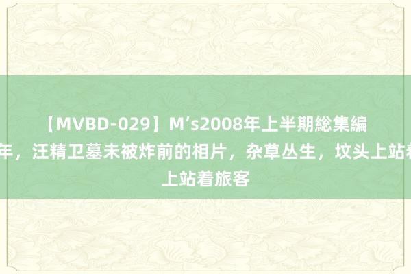 【MVBD-029】M’s2008年上半期総集編 1945年，汪精卫墓未被炸前的相片，杂草丛生，坟头上站着旅客