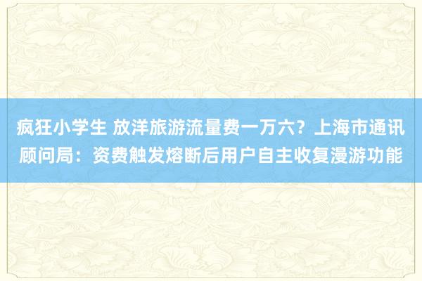 疯狂小学生 放洋旅游流量费一万六？上海市通讯顾问局：资费触发熔断后用户自主收复漫游功能