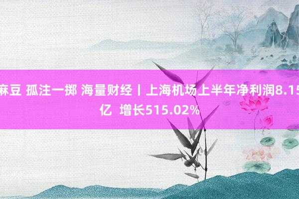 麻豆 孤注一掷 海量财经丨上海机场上半年净利润8.15亿  增长515.02%