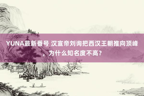 YUNA最新番号 汉宣帝刘询把西汉王朝推向顶峰，为什么知名度不高？