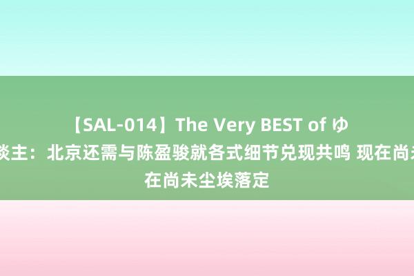 【SAL-014】The Very BEST of ゆか 媒体东谈主：北京还需与陈盈骏就各式细节兑现共鸣 现在尚未尘埃落定