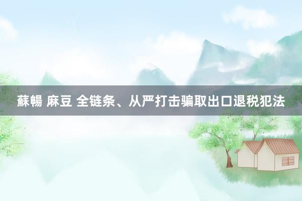 蘇暢 麻豆 全链条、从严打击骗取出口退税犯法