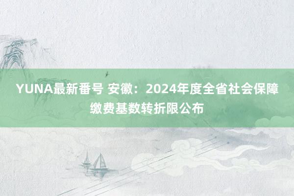 YUNA最新番号 安徽：2024年度全省社会保障缴费基数转折限公布