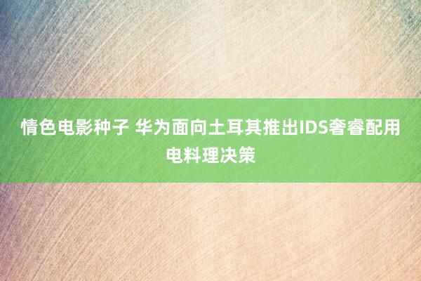 情色电影种子 华为面向土耳其推出IDS奢睿配用电料理决策