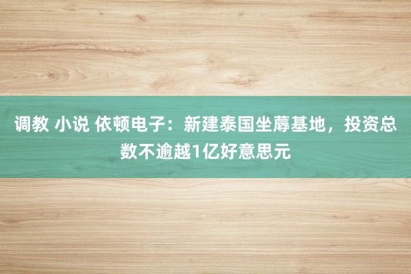 调教 小说 依顿电子：新建泰国坐蓐基地，投资总数不逾越1亿好意思元