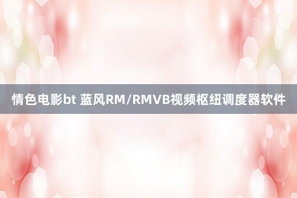 情色电影bt 蓝风RM/RMVB视频枢纽调度器软件