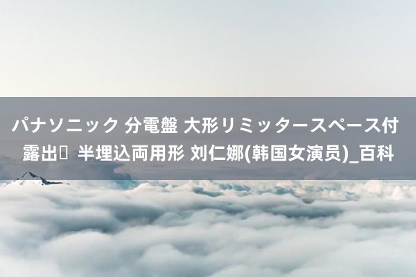 パナソニック 分電盤 大形リミッタースペース付 露出・半埋込両用形 刘仁娜(韩国女演员)_百科